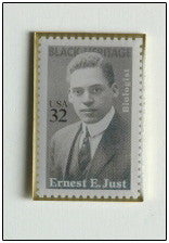 Ernest E. Just Lapel Pin